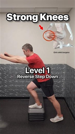 Strong Knees - Exercise Progression