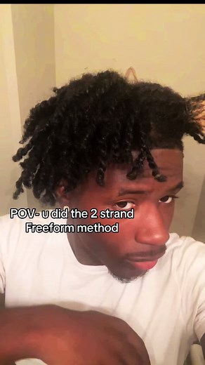 2 Strand Freeform Method vs Starter Dreads | Freeform Journey