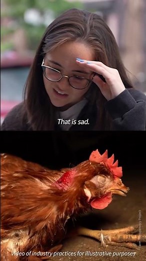 Think you know what cage free means So did they 🫣