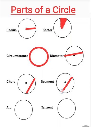 99% of Students Mix These Up! 😬 #Geometry