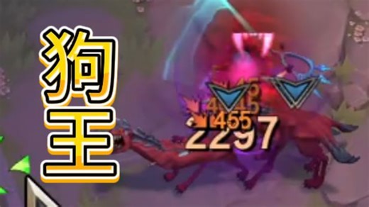 海克斯大乱斗：狗王中王🐶