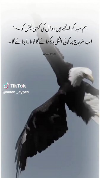 Explore the Different Types of Moons