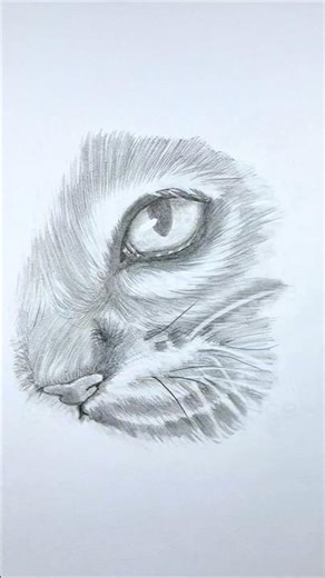 Cat🐈 eye pencil drawing practice
