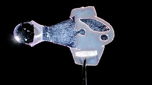 Watch robotic fish swimming to the beat of human heart cells