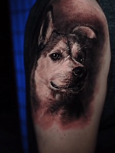 Pet Portraits - Black and Grey / Color Realism Tattoos