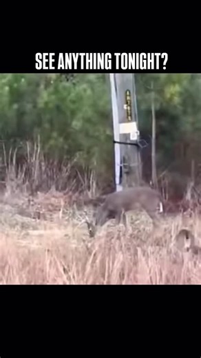 ExplosionPoint on Instagram: "🤯The Best Explosion Reels Collection 💯 Road to 40,000 Followers 💌DM For Credit or Removal 🧐Check our post for the Best Explosion Videos #explosion #boom #bigbang #massive #fireworks #exploring #instagram #trending"