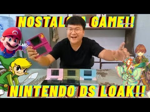 Nintendo DS Review from a Flea Market in 2026