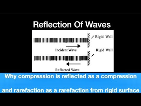 Wave Motion 10, Reflection of waves