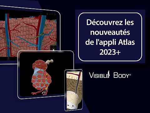 Atlas d'anatomie humaine 2023＋| Une référence 3D complète !
