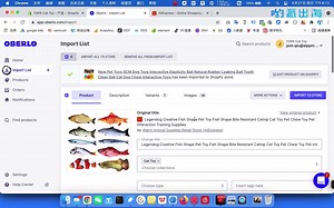 Shopify Oberlo插件教程：如何从速卖通上快速导入产品