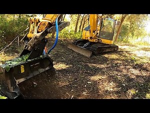 NEGLECTED CONSERVATION EASEMENT NEEDS A MAJOR REHAB MAKEOVER!