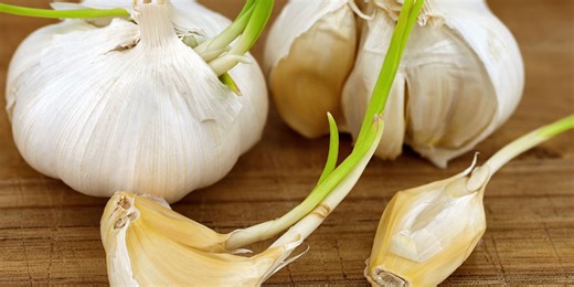 Is Sprouted Garlic Safe to Eat?