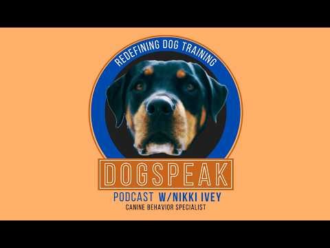 My Dog is Teaching Me....What?! Animals Are Master Teachers