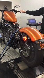 One of our Kick Ass 95" Sportster's with an astonishing 120 h.p. Daytona Twin Tec LLC, Carrillo Rods, C and C Crank Shaft Tuned in climate controlled Dyno Room Power to weight ratio is astonishing Long story short it chucks wheelies all up and down the strip. These sort of bikes can only be Bulit in Australia buy APL performance bikes | APL Motorcycles & Dyno Tuning - Sydney