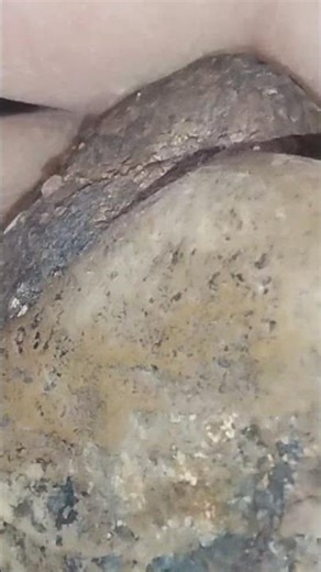 I found a weird Cemented Prehistoric River Rock today