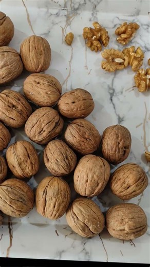 Walnut processing unit