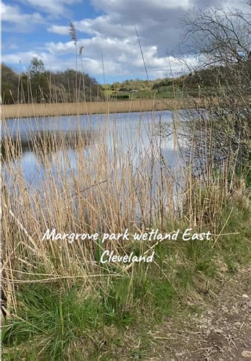 Paula Miller on TikTok