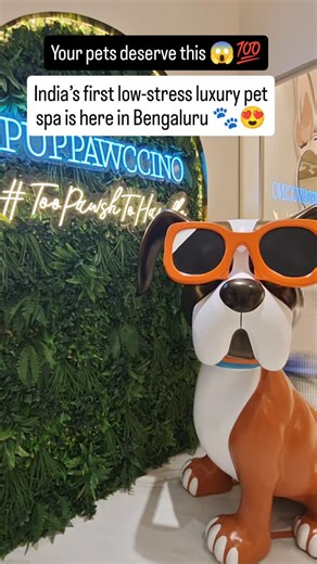 Bangalore Trending and Viral Reels By Akshay CN on Instagram: "Your pets deserve this 💯 Location Puppawccino Essensai 067, Whitefield - Hoskote Rd, Ardendale, Kannamangala, Bengaluru, Karnataka 560115 India’s first low-stress luxury pet spa is here in Bengaluru 🐾👑 Bengaluru is quickly becoming one of India’s most pet-friendly cities, with more pet cafés, dog parks, grooming centres, veterinary hospitals, and premium pet services in Bangalore opening every year. Now, the city has taken another
