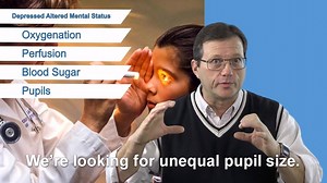 During your PALS certification, you'll learn how to perform a primary...