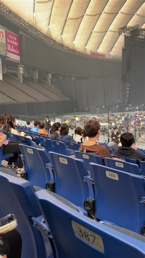 東京ドームの座席体験と見え方