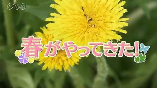 春がやってきた！ | ふしぎがいっぱい （4年） | NHK for School