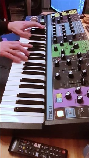 Shimmering Moog. #analog #electronicmusic #synth #synthesizer #dawless #moogmatriarch #merispolymoon