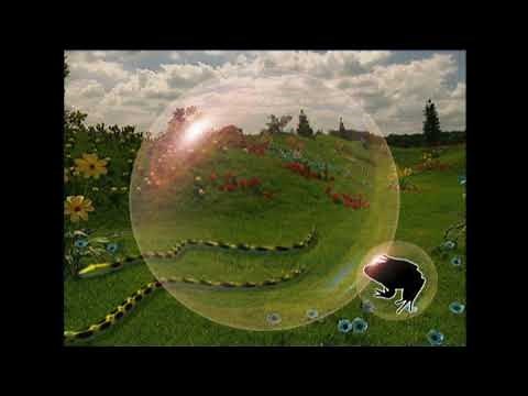 Animal Parade Teletubbies Come To Play Bubble Interactive DVD Version