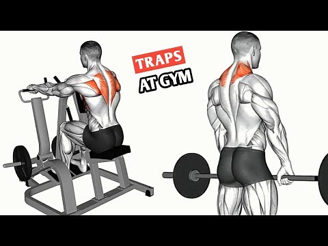 Big Traps Workout | How to Build Monster Traps (Beginner to Pro)