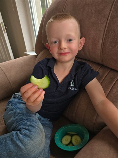 George’s Carpet Farming: Stones, Soil and a Dung Spreader