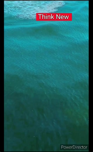 7.2K views · 88 reactions | How to repair bad LED bulb? Think New.2 Think New | Think New | Facebook