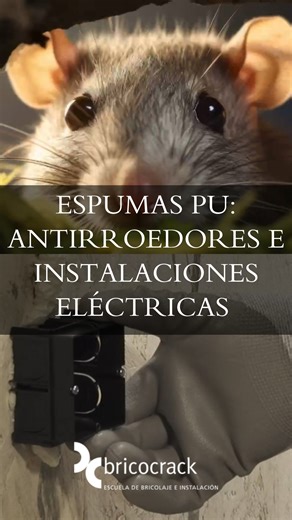 Bricocrack on Instagram: "🛠🐭 ¿Ratas colándose por huecos? ¿Cables mal aislados? ¡Existe una espuma de poliuretano para eso! 😮 En el tutorial del viernes te enseñamos dos productos poco conocidos pero súper útiles: ✅ Espuma antirroedores 🐀 ✅ Espuma específica para instalaciones eléctricas 🔌 Te mostramos cómo funcionan, dónde aplicarlas y por qué deberías tenerlas en tu caja de herramientas. Con las espumas Antirroedores 299 y ElectroFoam 220V de @penosil_es #WolfGroupIberico, y la ropa de tr