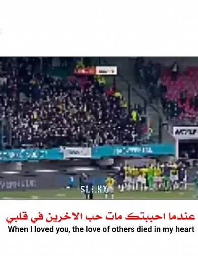 Enthusiastic Crowd Cheering at Sports Event