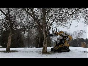 Baumalight IRS512 Skidsteer Tree Shear