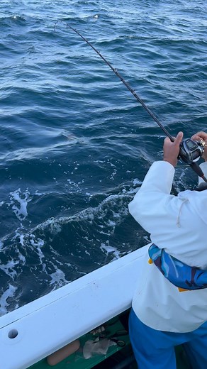 おはようございます。 今日から出船再開！ 本日はマダコ釣り！ 明日からまたテンヤマダイ船でます！ 今週末、土日テンヤマダイ船まだまだ空きあります🈳 ご予約・お問い合わせは LINE・お電話・ホームページから受付中です📩 TEL080-4181-1091 茨城県 日立久慈港｜釣り船 日正丸（兄弟船） @nissho.maru #マダイ#日立沖#テンヤ真鯛#日立久慈港#日正丸#久慈浜#常磐沖#常磐 | 日正丸（釣船／日立久慈漁港）