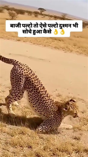 #motivation 💯🔥 #jay #onthisday