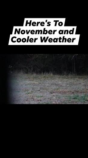 Redneck Hunting Blinds had me covered! #new #reels #buck #deer #deerhunting | KOAM Outdoors LLC