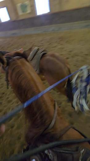 Taco Tuesday Baby boot camp has started for this cute guy. #tacotuesday #theadventuresoftacoandjenna | Jennafer Kick