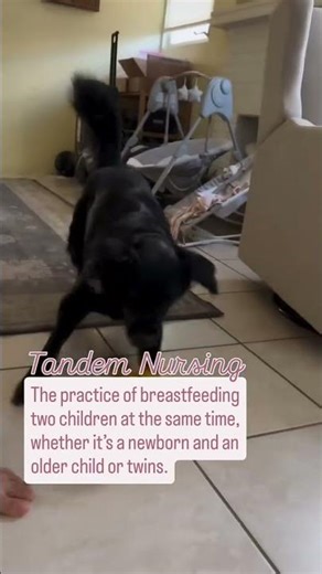 The practice of breastfeeding two little ones at once👶👶 #breastfeeding #tandembreastfeeding