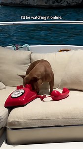 13K views · 47 reactions | Jen and Phil 樂 Generative Fill ✅ You...