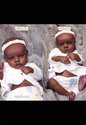 Twins Before Rooting: A Reborn Baby Showcase