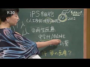 サンデーモーニング 19年9月1日放送 黒板解説「iPS細胞の可能性」