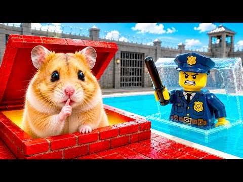 Hamster Escapes 4 Secret Rooms in a One-Color Maze Prison | MANBO HAMSTER Real-Life Challenge 🐹