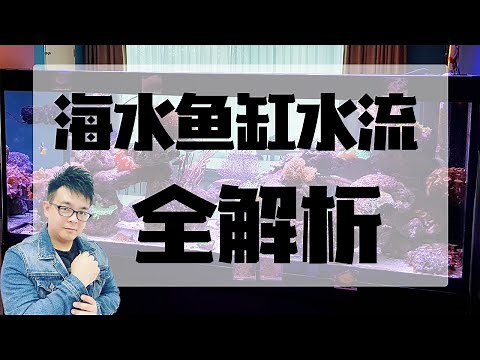 海水鱼缸水流全解析 | 【小马说水族】 （如何计算鱼缸水量，如何选择水泵，水泵安装有什么细节，如何选择造浪泵，水流的重要性）
