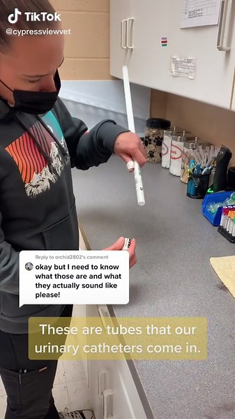 Urinary Catheter Tubes: Sample and Usage