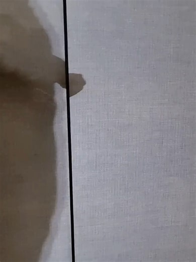 Sliding doors in encapsulated glass #architecturalglass #glass