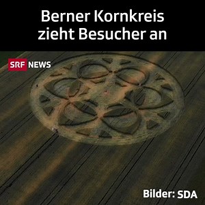 22K views · 124 reactions | In Büren an der Aare entdeckten Landwirte auf einem Feld einen Kornkreis. Dieser hat einen Durchmesser von fünfzig Metern und wurde in den letzten Tagen zum Besuchermagnet. Der Schaden beträgt rund 1000 Franken. | SRF News | Facebook