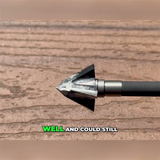 VPA Omega Broadhead: Extreme Durability Test! #shorts