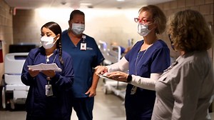 5.6K views · 145 reactions | A flurry of activity is going on behind...