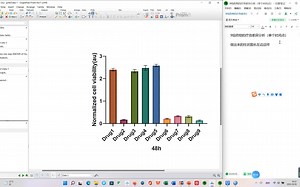 【统计分析】完全随机设计资料的方差分析 样本均数间的多重比较 单个时间点不同药物的疗效（SPSS）