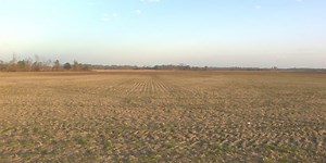 Greene County commissioners approve two-year pause on new special use permit applications for solar farms